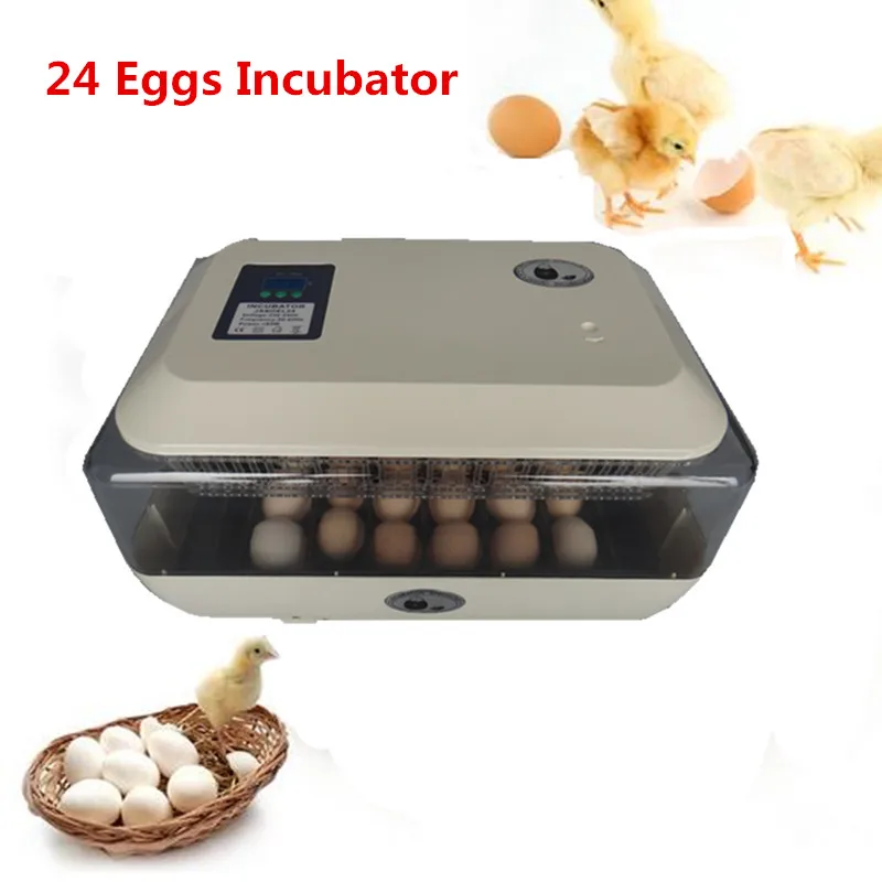 

24 Eggs Automatic Incubator Egg Tray with Temperature Control Hatcher Incubation Equipment for Chicken Bird