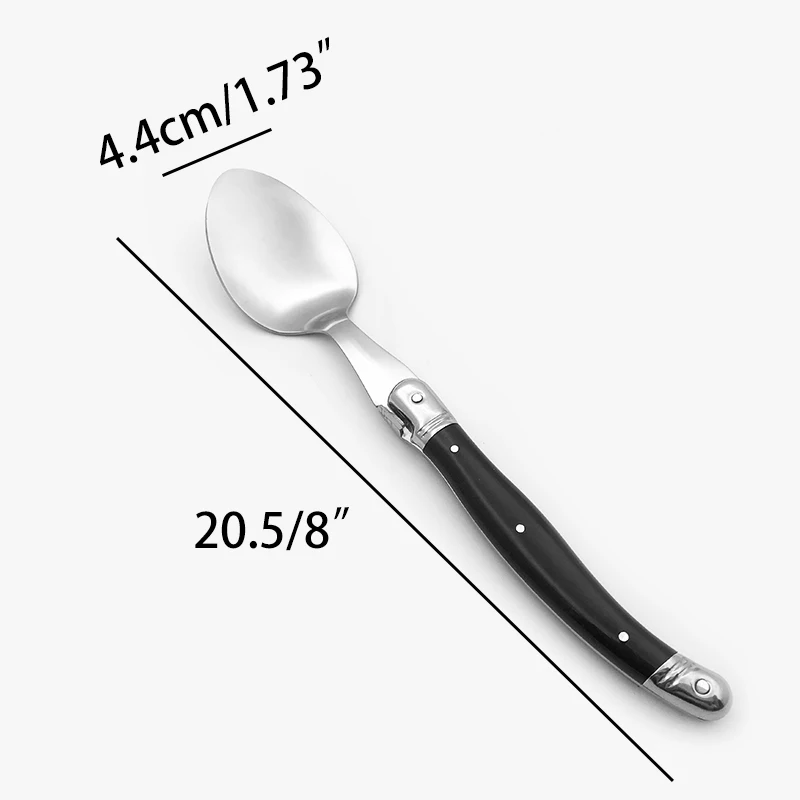 Black dinner spoon set  (10)