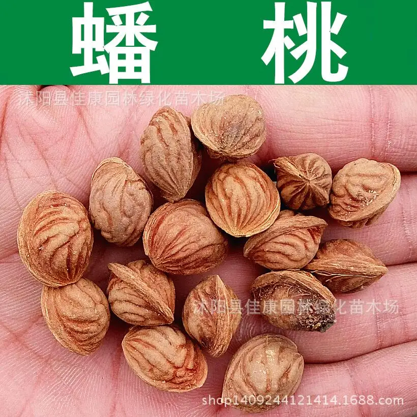 Online Buy Wholesale harvesting peaches from China harvesting peaches