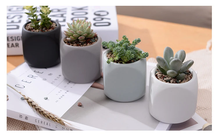 4059104887_675057837