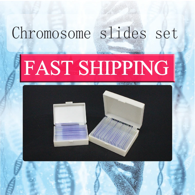 European quality biological fixed set Medical Prepared Microscope Slides Chromosome slides set