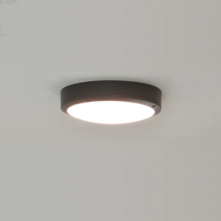 Popular Led Outdoor Ceiling Light Led Outdoor Ceiling Light