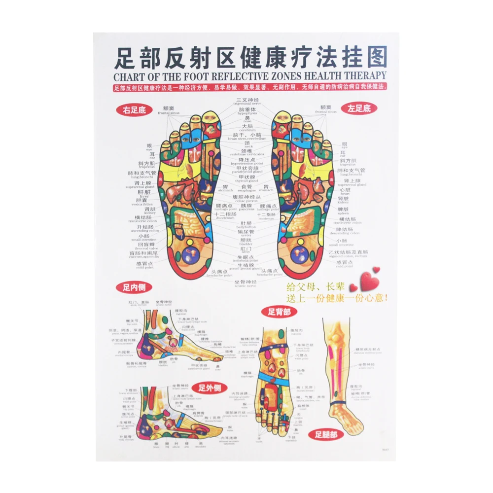 7 Pcs Chinese And English Posters Of Moxibustion And Moxibustion On Acupoints And Meridians Of Traditional Chinese Medicine Accupuncture Aliexpress 7 Pcs Chinese And English Posters Of Moxibustion And Moxibustion On Acupoints And Meridians Of Traditional Chinese Medicine Accupuncture Aliexpress