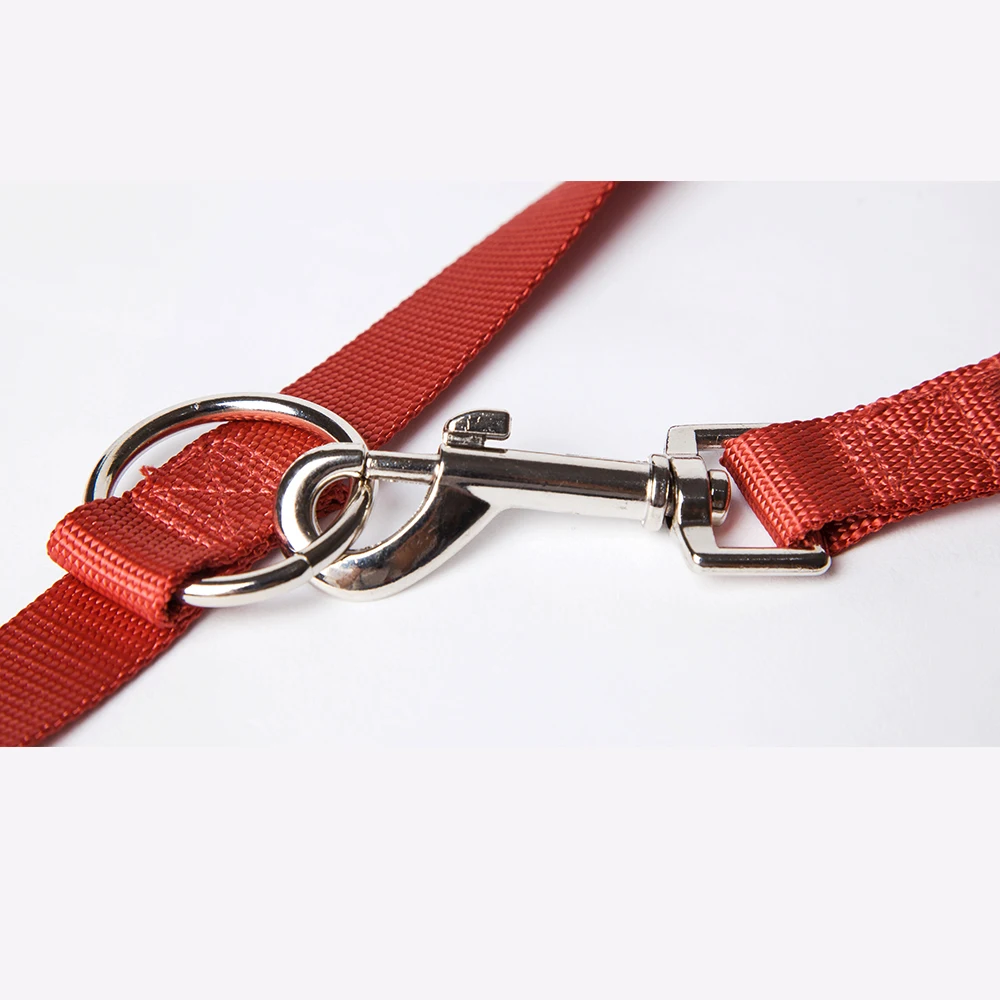 dog leash 6