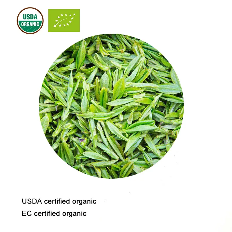 Экстракт Зеленого Чая Купить Оптом