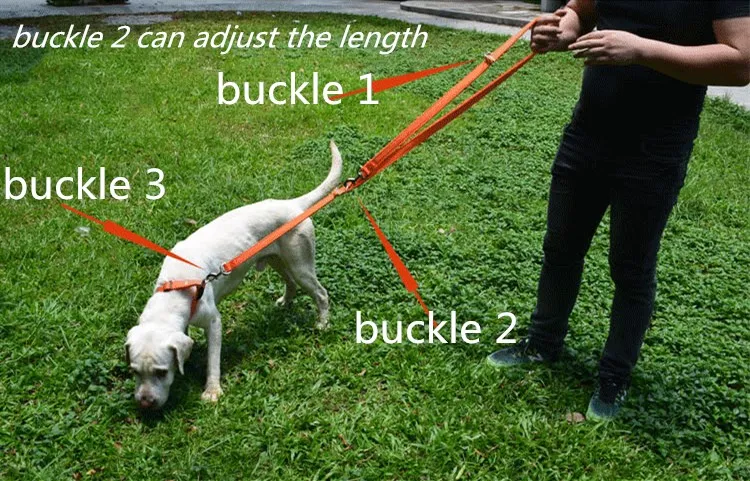 4348166239_1026663116