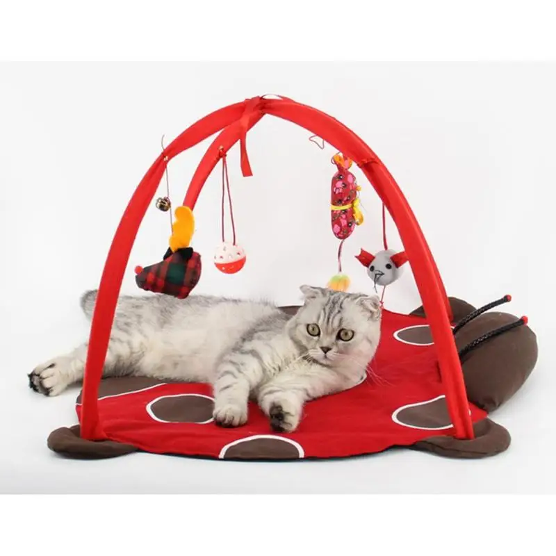 Kitten Cat Tent House Mat Pad Training Plush Playing Cat Litter Bed