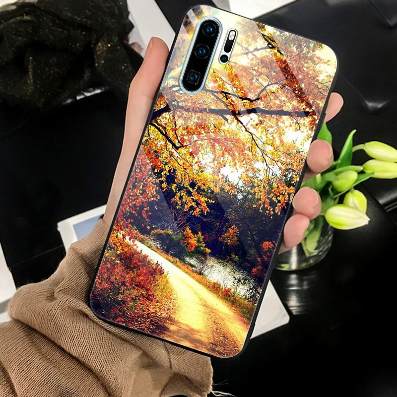 закаленного стекла Чехол для huawei P30 Pro чехол Жесткий ПК цветной чехол для huawei P30 Lite бампер чехлы P30Lite P30Pro P 30