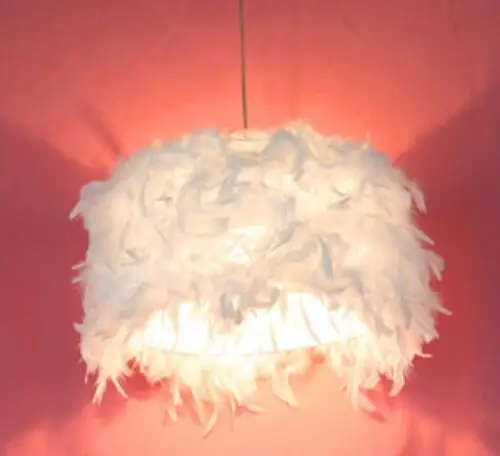 

White feather light lamp pendant lights of droplight with contemporary and contracted light pendant lamps ZL340