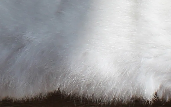 Rabbit fur plate (1)