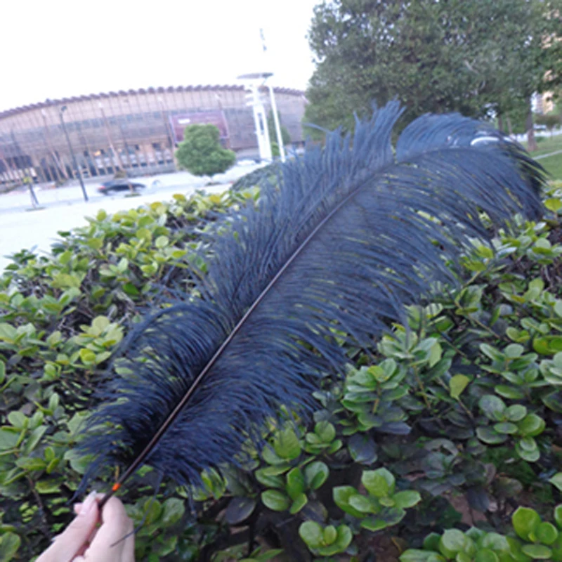 Wholesale! Beautiful 10pcs black 18 20 inches /45 50cm natural products