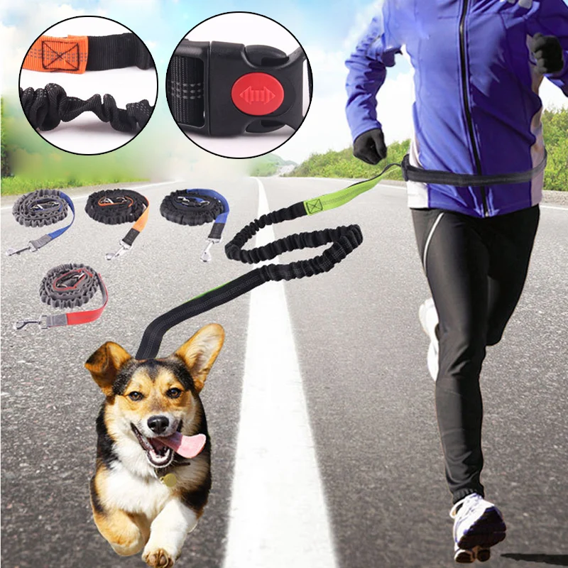 Pet leash Dog Leash Running Elasticity Hand Freely Pet Products Dog