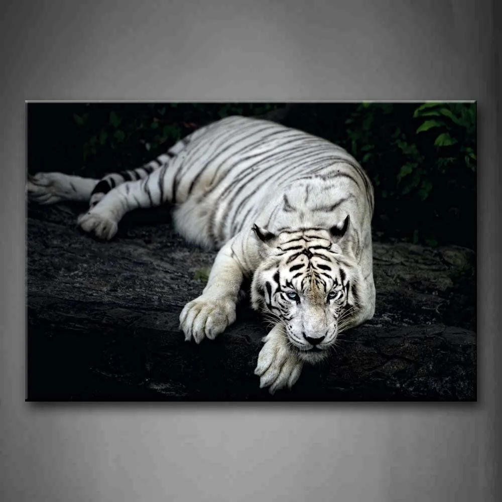 

Framed Wall Art Pictures White Tiger Wood Canvas Print Animal Modern Poster With Wooden Frame For Home Living Room Decor