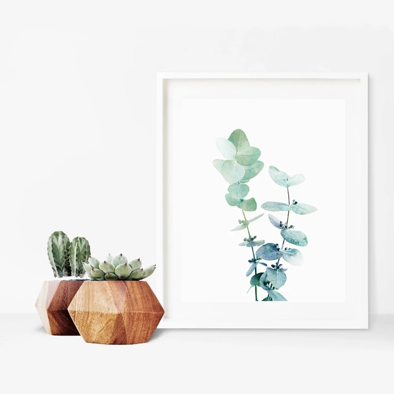 Australian Eucalyptus Leaf Prints Home Decor