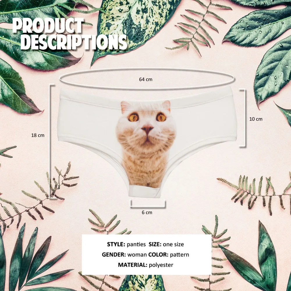 37051 BIG HEAD CAT (1)
