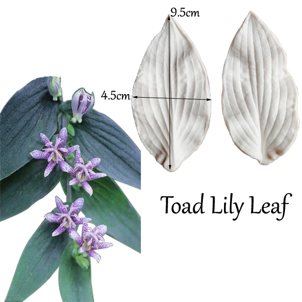 

Hosta Flower Leaf Silicone Mold, Impression Mold, Cake Decorating, Fondant, Sugarcraft Cake Mold, Kitchenware, M2115
