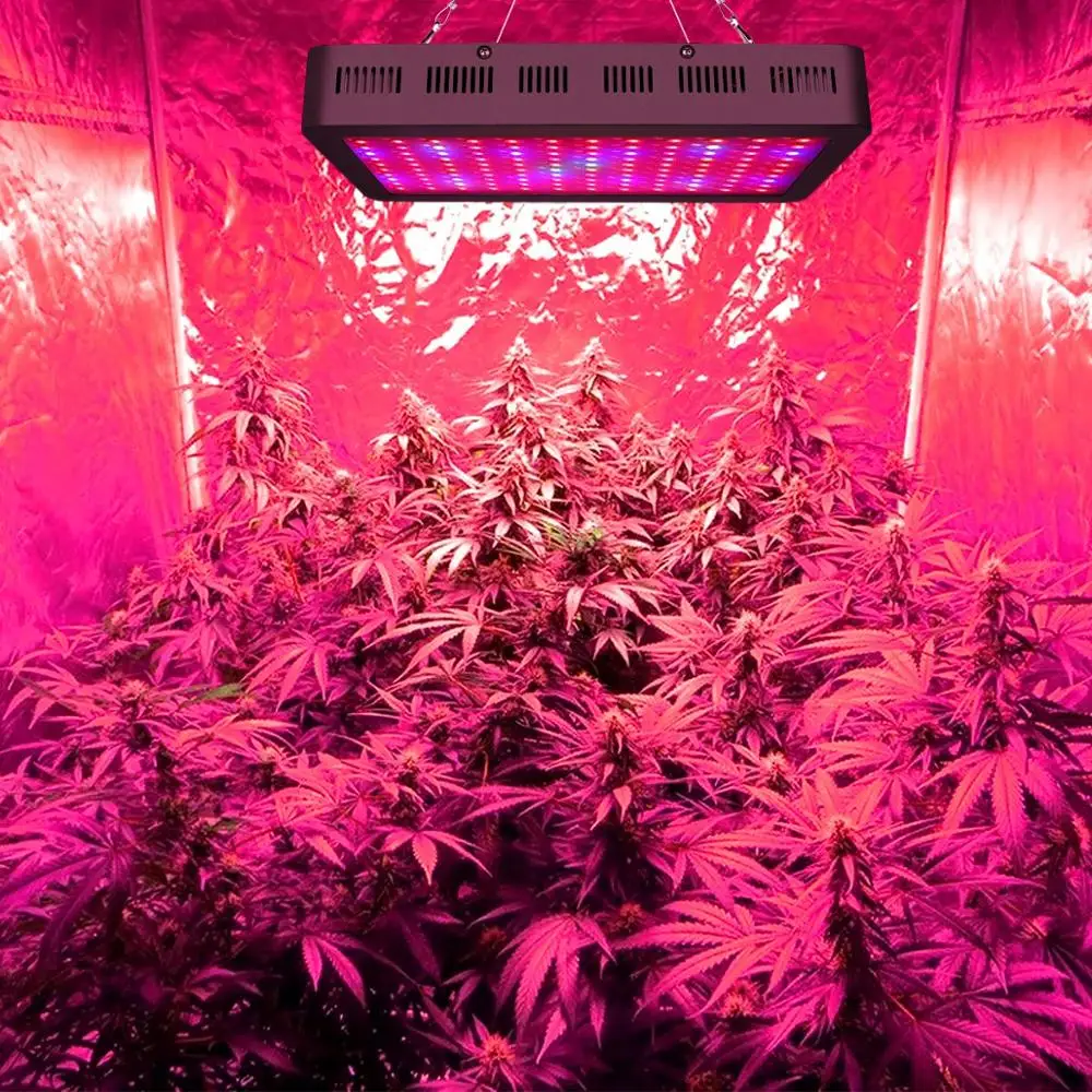 Лампы выращивания марихуаны купить ленинград марихуана скачать