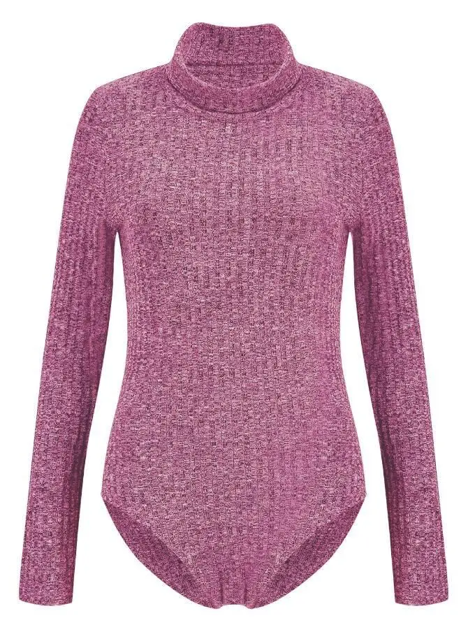 Gladiolus Spring Autumn Sexy Bodysuit Women 2019 Long Sleeve Turtleneck Bodycon Knitted Sweater Women Tops Sexy Black Bodysuits (27)