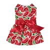Watermelon Dress