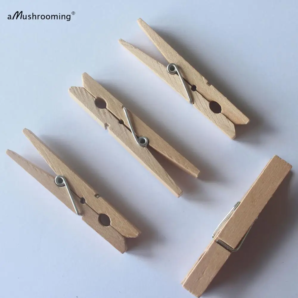 Fdit Pinces à Linge 100 Pièces épingles à Linge Mini Pinces En Bois Décoratives Mignonnes Avec