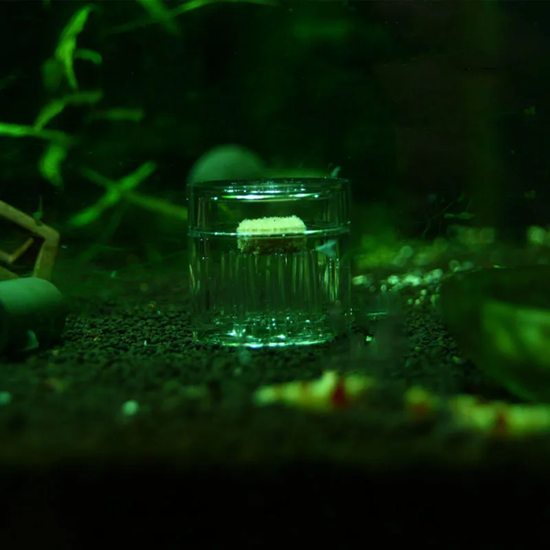 Аквариумный аквариум, пластиковая прозрачная планарная ловушка для улитки растений, червь, пиявка, инструменты для очистки 3/8 отверстий, очиститель для воды