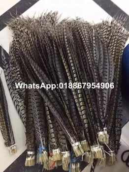 

EMS Free Shipping 90-100cm 35-40 inches 100pcs Natural Color ringneck Lady Amherst pheasant tails pheasant feather