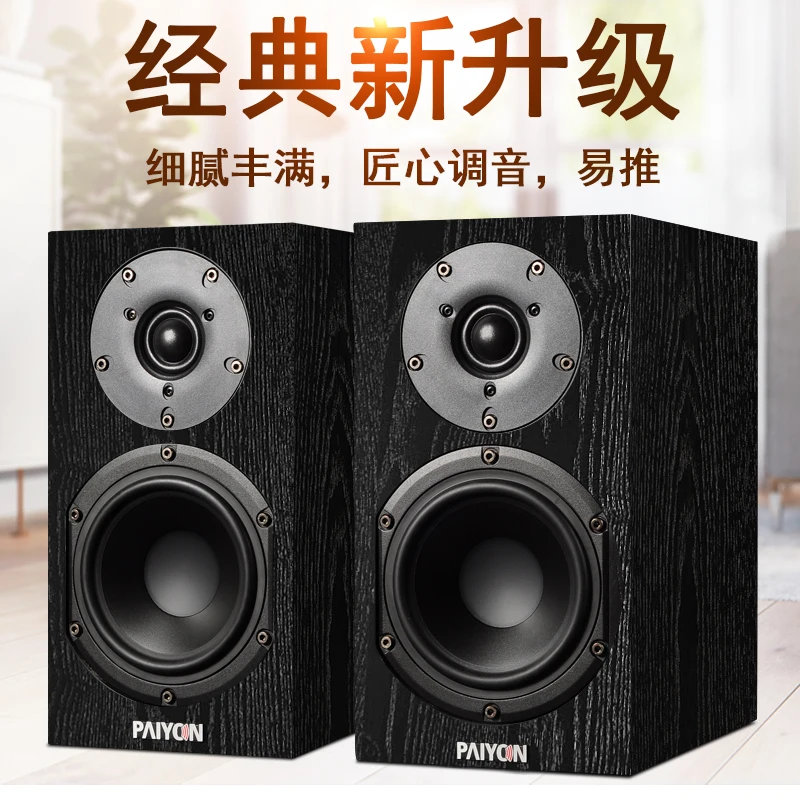 PAIYON P5 hifi колонки для полки powered колонки 2,0 мини настольный домашний кинотеатр