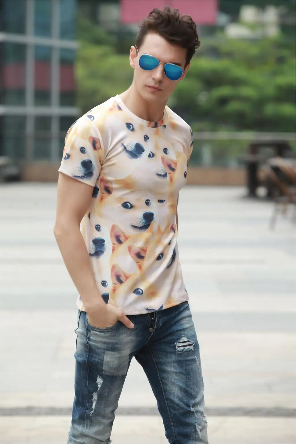 aeProduct.getSubject()