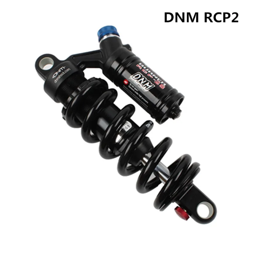 dnm rcp2