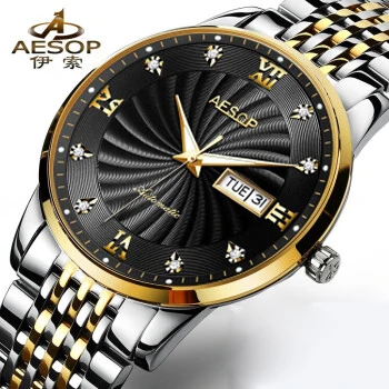 AESOP Mechanical Watch Men Luxury Top Brand Auto Date Diamond Gold Stainless Wristwatch Business Waterproof Montre Homme - Цвет: Черный