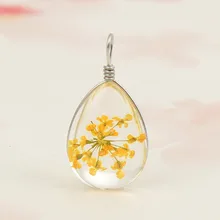 Дорин коробка настоящие сухие цветы прозрачный Стекло капли воды пузырь бутылка амулеты разноцветного с фокусным расстоянием 25 мм(") x 13 мм(4/8"), комплект из 2 предметов