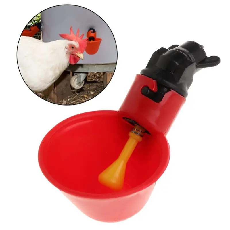 1 x Automatic Pet Chicken Quail Poultry Bird Pheasant Feed Water Tool 1000ML P0H 