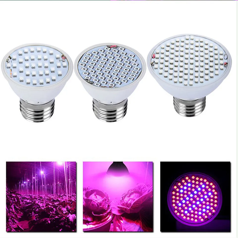 

yhint led grow light for indoor grow tent 3W, 4W, 6W, 8W 3528 LED red and blue lights led grow lamp for indoor plants growing