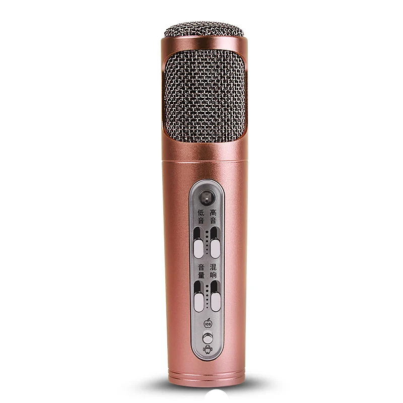 SikkiS Girl Mobile Computer Microphone Record Sing