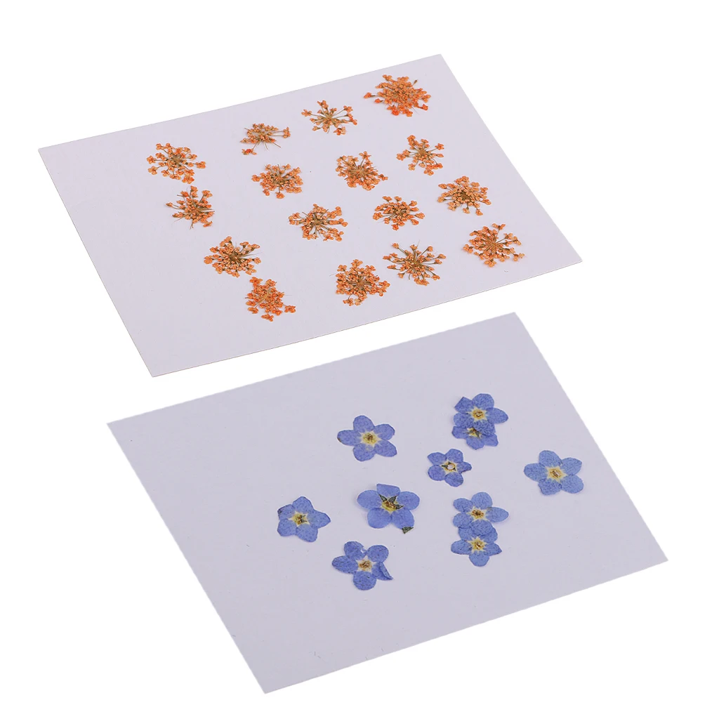 26pcs Natural Pressed Flowers Orange and Purple for Handmade Crafts Gifts Decor Charms Pendants Bracelet Making Ornaments