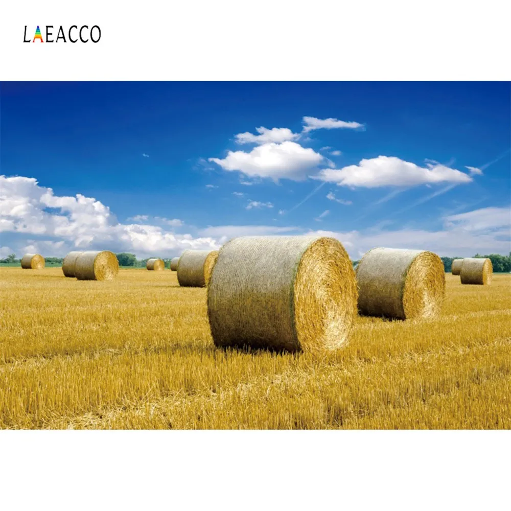 

Laeacco Photography Backdrops Grain Harvest Season Farm Agriculture Haystack Blue Sky Scenic Photo Backgrounds For Photo Studio