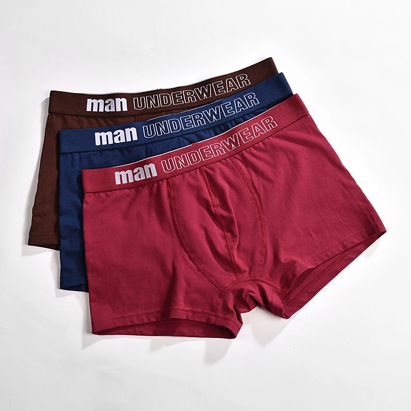 4Pcs/lot Men Boxer Cotton Men's Underpants Breathable Men's Panties Underwear Trunk Brand Shorts Man Boxer Calecon Homme
