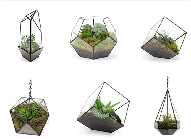 Plant Solder Terrarium 10.jpg