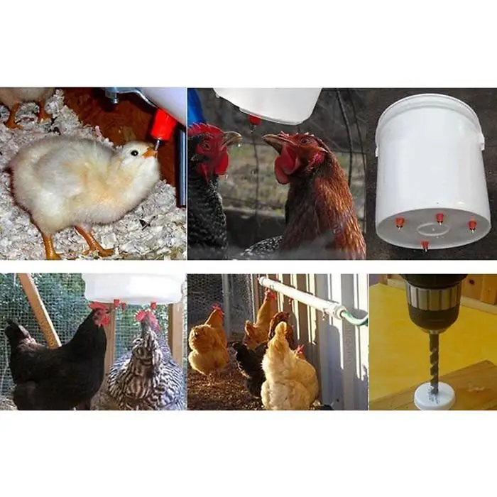 

360 Degree Automatic Chicken Duck Screw In Poultry Water Nipple Bird Drinker Feeder Drop shipping