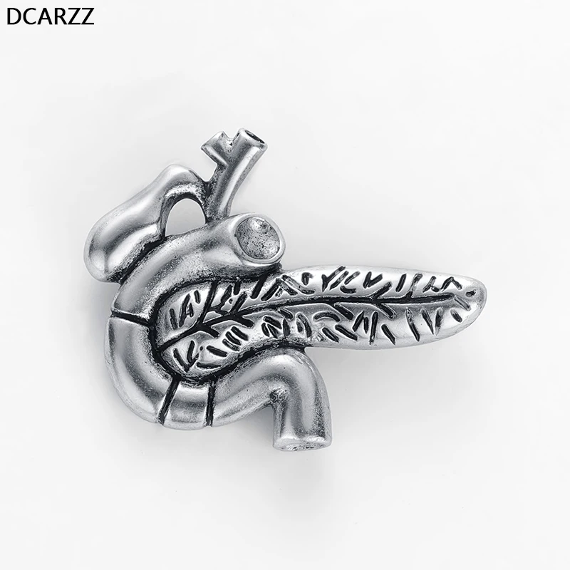 

DCARZZ Pancreas Pin Badge Anatomy Doctors Gift Gold Silver Lapel Pin Metal An Exquisite Brooch Trendy Jewelry Women Accessories