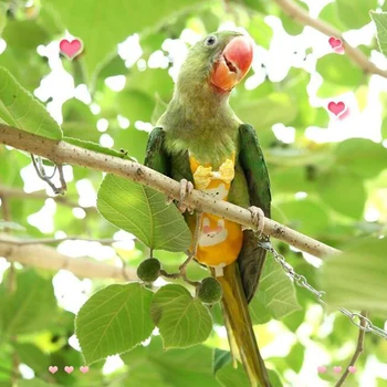 

Breathable Cloth Nappies Washable Bird Parrot Diaper Nappies Cockatiels for Small to Large Birds