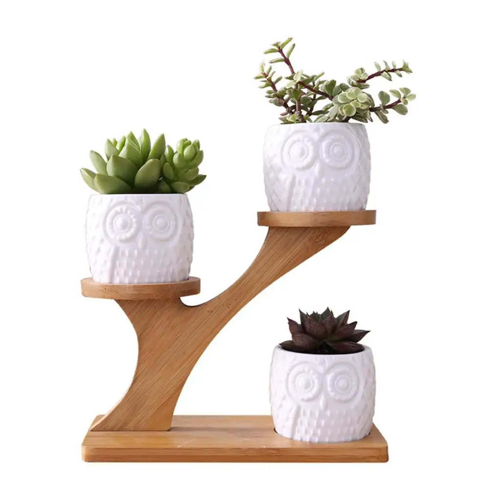 Goedkoop Creatieve Wit Vetplant Bloempot Houder Keramische Uil Patroon Pot Bamboe Plank Pot Planter Home Office Ornament Geen Plant