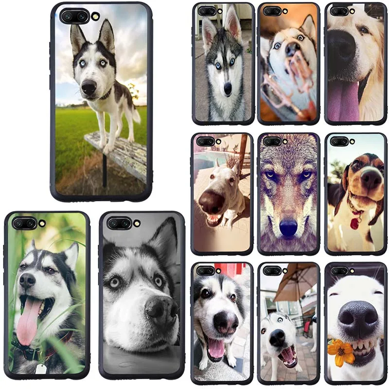 

For Huawei P8 P10 P20 P30 Mate 10 20 Pro Honor 6A 7A 7X 8A 8X 8C 9 10 Lite Soft Silicon Phone Cases Funny Animal Miniature Husky