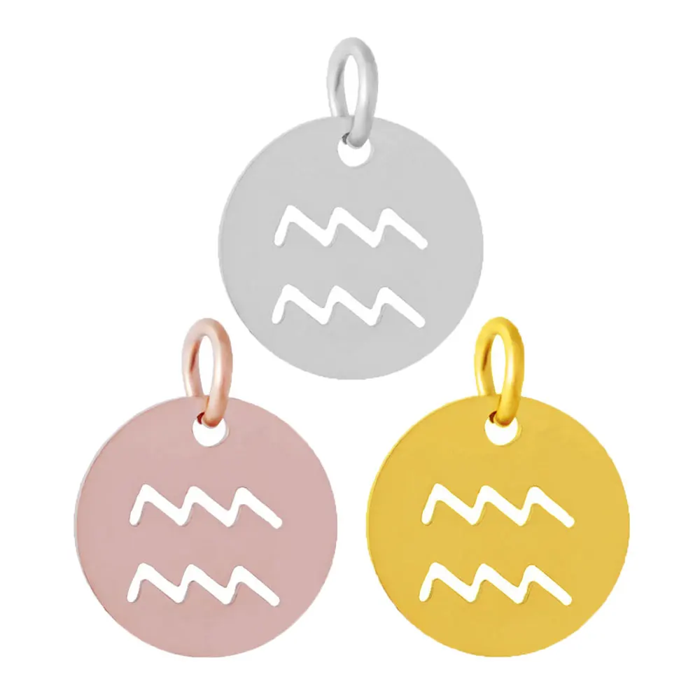 Diy Jewelry Stainless Steel Full Polished The Zodiac Aquarius Charm
