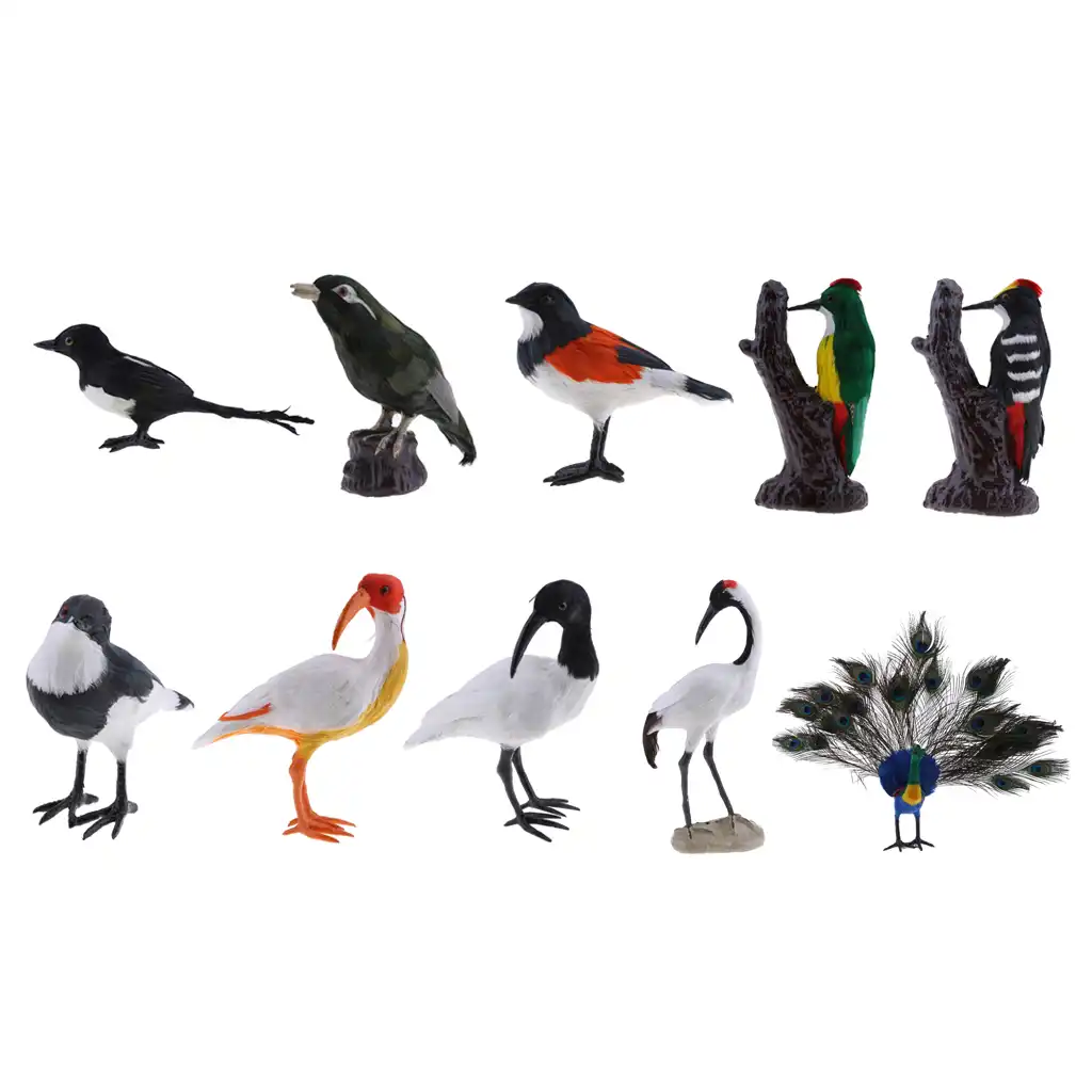 Садовая птица Пернатый орнамент Реалистичная Magpie дятел Шрайк Throstle животное