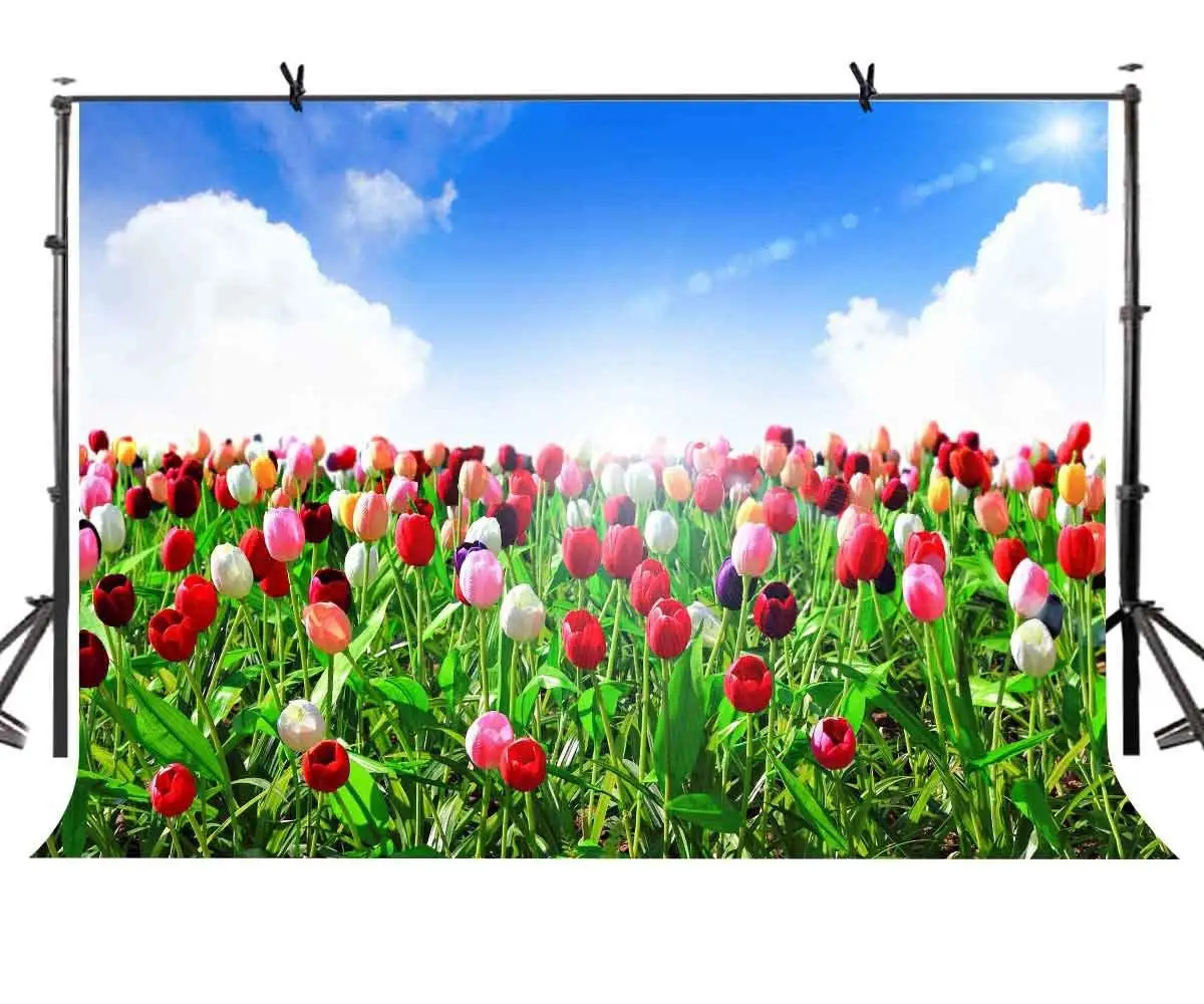 

7x5ft Colorful Tulips Backdrop Lush Colorful Tulip Beautiful Photographic Background and Studio Photography Backdrop Props