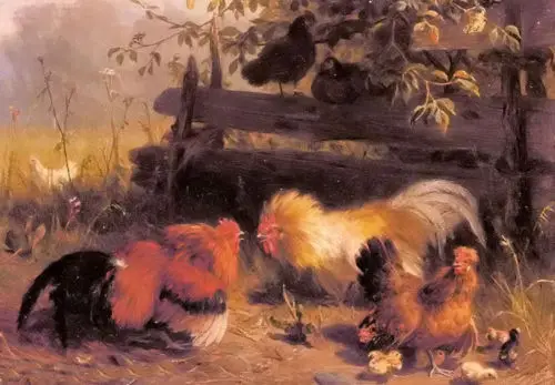 pintura a óleo carl jutz galinhas galo de briga com pintos na