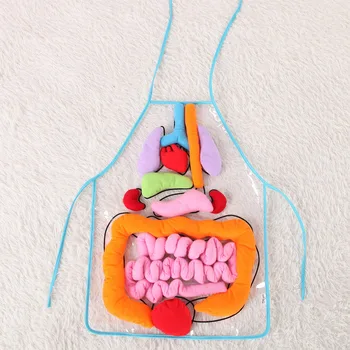 

Besegad Human Body Organs Awareness Educational Toys for Children Preschool Science Homeschool Teaching Aids