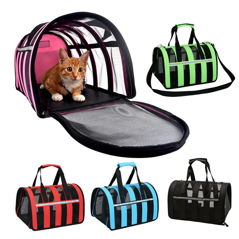 Pet Stores That Carry Small Dogs Pet Stores That Carry Small Dogs