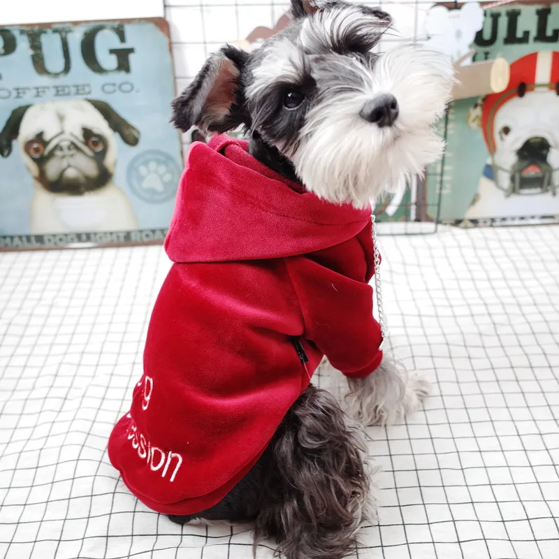 

Spring Pet Dog Clothes for Dogs Thick Letter Embroidery Autumn Warm Dog Hooded Clothes Soft Hoodies for Cat Small Dogs S-XXL